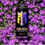 Total Body Fuel - Reign - 500ml